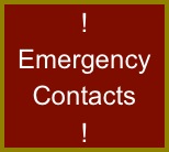!
Emergency Contacts
!