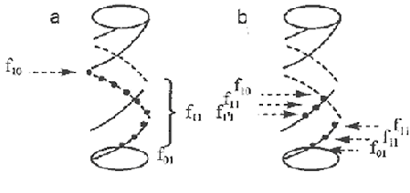 Duplex DNA with modifications