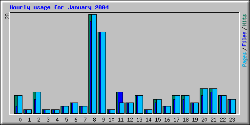 Hourly usage for January 2004
