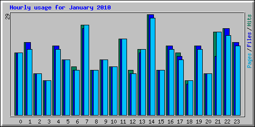 Hourly usage for January 2010