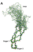 model of molecule