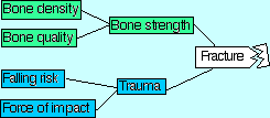 diagram of factors leading to fracture
