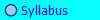  Syllabus