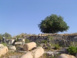 Gadara