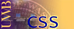 CSS Logo