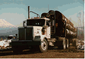 Forest Engineering