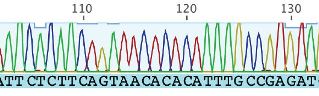 DNA sequence