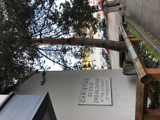 Tree growing in protected area by Christian Science Organization
