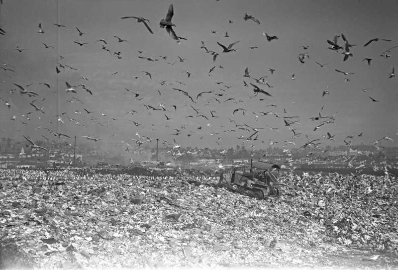 1954 University District Garbage Dump 