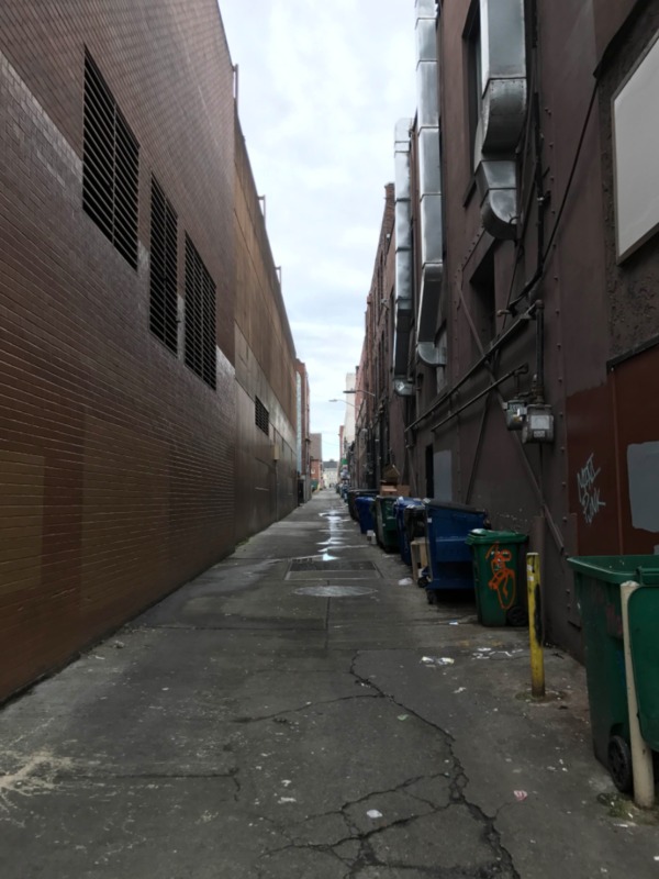 Alley way between University Way and Brooklyn Ave. - University District (Seattle, WA). Photographed by Michelle Kang on 01/20/17.