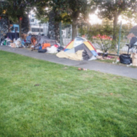 university_playground_encampment.jpg