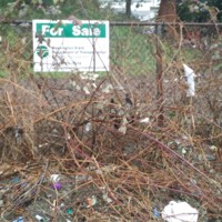 Empty lot for sale