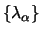 $\{ \lambda_\alpha \}$