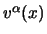 $v^\alpha(x)$