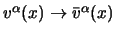 $v^\alpha(x) \to \bar v^\alpha(x)$