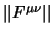 $\vert\vert F^{\mu\nu} \vert\vert$