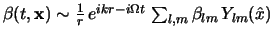 $
\beta(t,\x) \sim
\frac 1r   e^{i k r - i \Omega t}  
\sum_{l,m}
\beta_{lm}   Y_{lm}(\hat x)
$