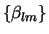 $\{\beta_{lm}\}$