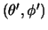 $(\theta',\phi')$