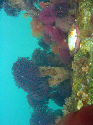 IMG_5289_edited-1