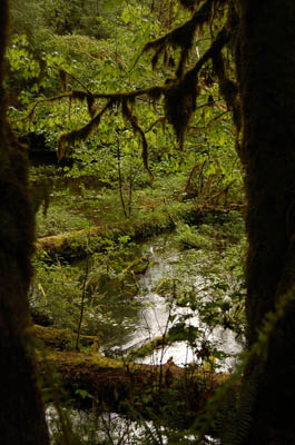 DSC_1679_edited-1
