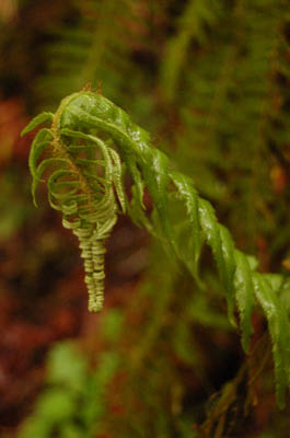 DSC_1680_edited-1