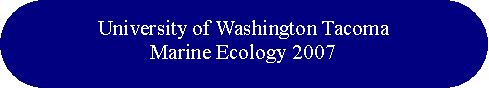 Rounded Rectangle: University of Washington TacomaMarine Ecology 2007