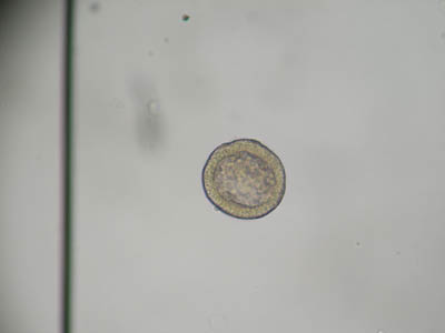 classroom07_lindsay
