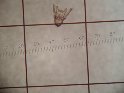 classroom10_lindsay