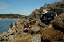 foxisland06