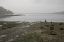 foxisland21