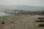 foxisland22