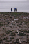 foxisland23