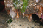 foxisland26