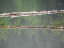 olym78_sarah