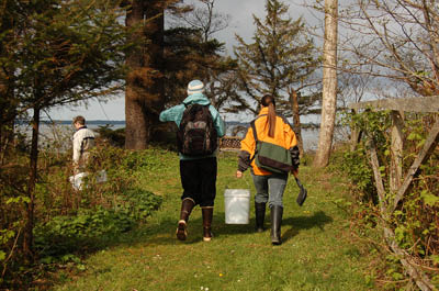 willapa01