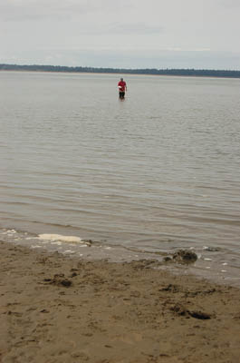 willapa15