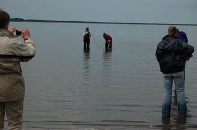 willapa17