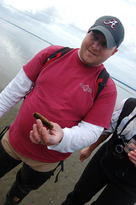 willapa20