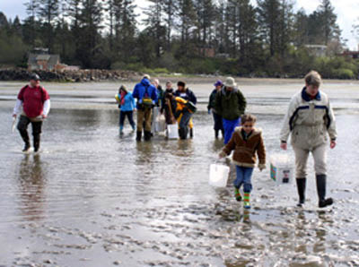 willapa24_holly