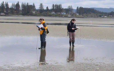 willapa28_holly