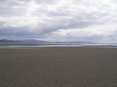 willapa33_lindsay