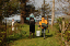willapa01
