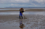willapa08