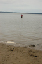 willapa15