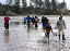 willapa24_holly