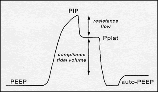 pip in mechanical ventilation