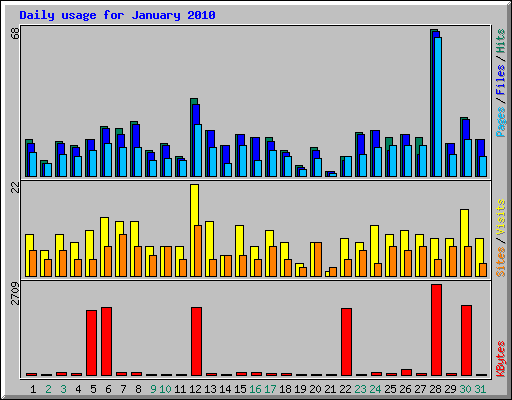 Daily usage for January 2010