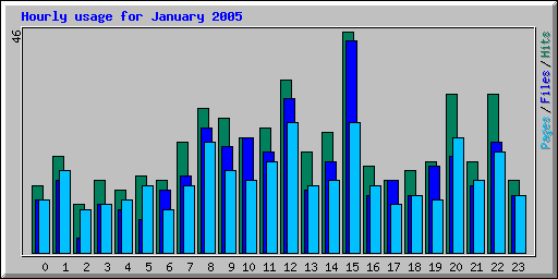 Hourly usage for January 2005