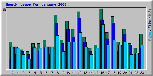 Hourly usage for January 2006